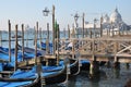 Venice, Salute Royalty Free Stock Photo