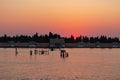 Venice - Scenic sunset view on San Michele island at Venetian lagoon in Venice, Veneto Royalty Free Stock Photo