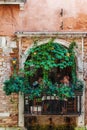 Venice September 4 2018: Beautiful view of the cafe windows, with tourists sitting in it, decorated with vertically growing plants