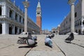 Venice, VE, Italy - May 26, 2020: Saint MArk Square and Ducal Palace with pigeons with few tourists due to the lockdown Royalty Free Stock Photo