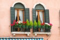 Venice, windows with flowers Royalty Free Stock Photo