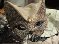 Venician mask - cat Royalty Free Stock Photo