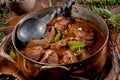 Venison Goulash Stew in Pot with Serving Spoon Royalty Free Stock Photo
