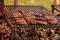 Venison steak with rosemary wild meat fried on a grill picnic food on holiday