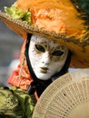 Venitian Carnival in Paris Royalty Free Stock Photo