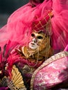 Venitian Carnival in Paris Royalty Free Stock Photo