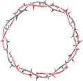 Crown of thorns of jesus christ