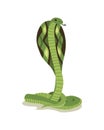 Venomous snake. Danger color animal. Poisonous reptile crawl. Decorative character, wildlife nature animal
