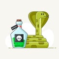 Venomous snake on a white background. flask with