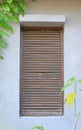 Ventilation wooden window covered with ivy