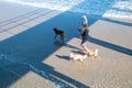 View from above looking down at two woman walking three dogs along a wet beach with the