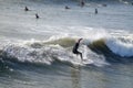 Bald headed male surfer wearing a wetsuit seen riding a small wave on a surfboard with other surfers waiting for a wave in the Royalty Free Stock Photo