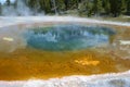 Vents and mineral deposits in Yellowstone National Park