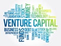 Venture Capital word cloud collage, business concept background