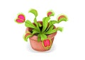 Venus flytrap in a pot illustration