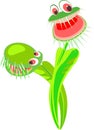 Venus flytrap