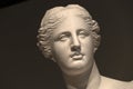 Venus of milo statue detail Royalty Free Stock Photo