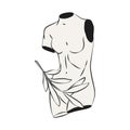 Venus torso vector illustration. Greek statue