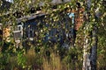 The veranda of an abandoned village house in the village of Verkhnechusovskie Gorodki, Chusovskogo district, Perm Territory. Royalty Free Stock Photo