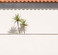 Veranda in rural Portugal. Palm trees and orange roof tiles casting shadows on wall