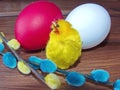 Verba twigs and Easter eggs next to little yellow chick. Colorful Easter eggs - part of the passover meal. Easter