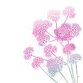 Vector corner bouquet with outline Verbena or Argentinian vervain flower in pastel pink isolated on white background.