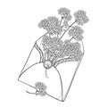 Vector bouquet of outline Verbena or Argentinian vervain flower in open craft envelope in black isolated on white background.
