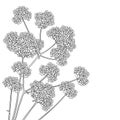 Vector corner bouquet with outline Verbena or Argentinian vervain flower in black isolated on white background. Royalty Free Stock Photo