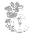 Vector corner bouquet of outline Verbena or Argentinian vervain flower and bottle of essential oil in black isolated on white.