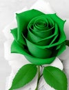 Verdant Beauty: Captivating Green Paper Rose Picture