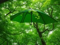 A verdant canopy of leaves forming a lush, green umbrella