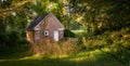 Verdant country grotto in summer