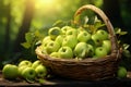 Verdant delight a basket showcases a plentiful harvest of delicious green apples