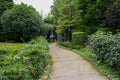 Verdant footpath to farmhouse