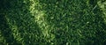Verdant Grass Carpet: Perfect Backdrop for Minimalist Designs. Concept Greenery, Minimalism,