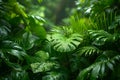 Verdant Harmony: Tropical Foliage with Dew Drops. Concept Botanical Elegance, Fresh Water Droplets,