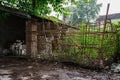 Verdant plants in bamboo fence of dilapidated roadside farmhouse