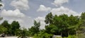 Verdant Serenity: Majestic Green Trees Beneath the Azure Sky