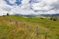 Undulating countryside of the North Island in New Zealand