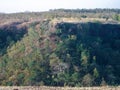 Verdant Vistas: A Grand Valley Bursting with Lush Green Trees