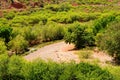 Verde River Valley Arizona Royalty Free Stock Photo