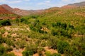 Verde River Valley Arizona Royalty Free Stock Photo