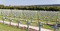 Verdun War Cemetery Royalty Free Stock Photo
