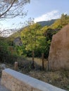 Verdure Saint Pons GÃÂ©menos france