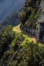 Vereda do Larano hiking trail, Madeira Royalty Free Stock Photo