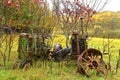 Old John Deere tractors parked in a pasture