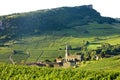 Vergisson with vineyards, Burgundy, France