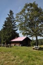 Verlorener Schachten with wooden hut and Carex brizoides Royalty Free Stock Photo