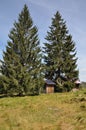 Verlorener Schachten with wooden hut and Carex brizoides Royalty Free Stock Photo