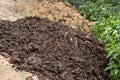 vermi compost cow dung Royalty Free Stock Photo